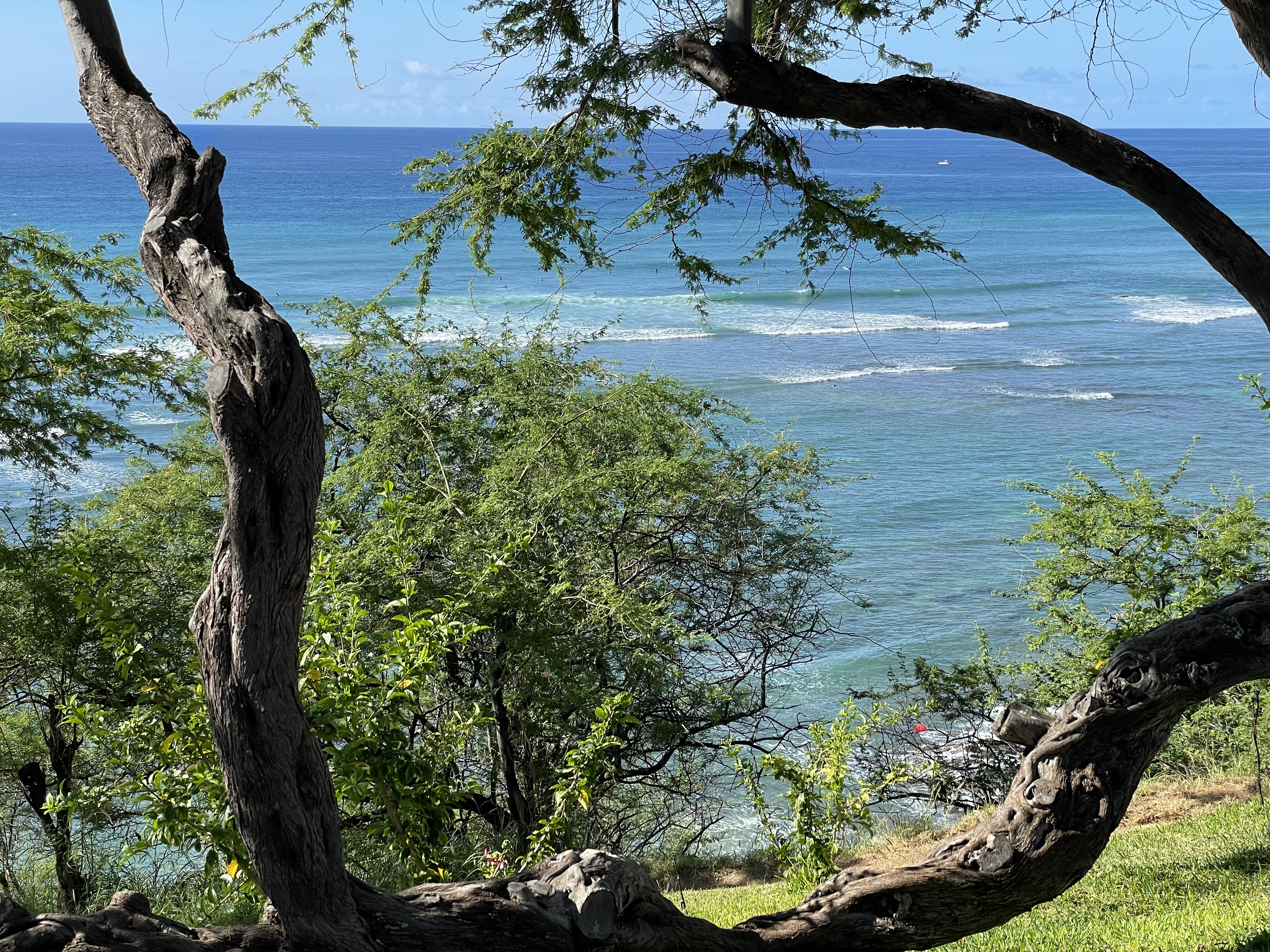 ダイヤモンドヘッドの絶景＆サーフスポット | eLoco Hawaii